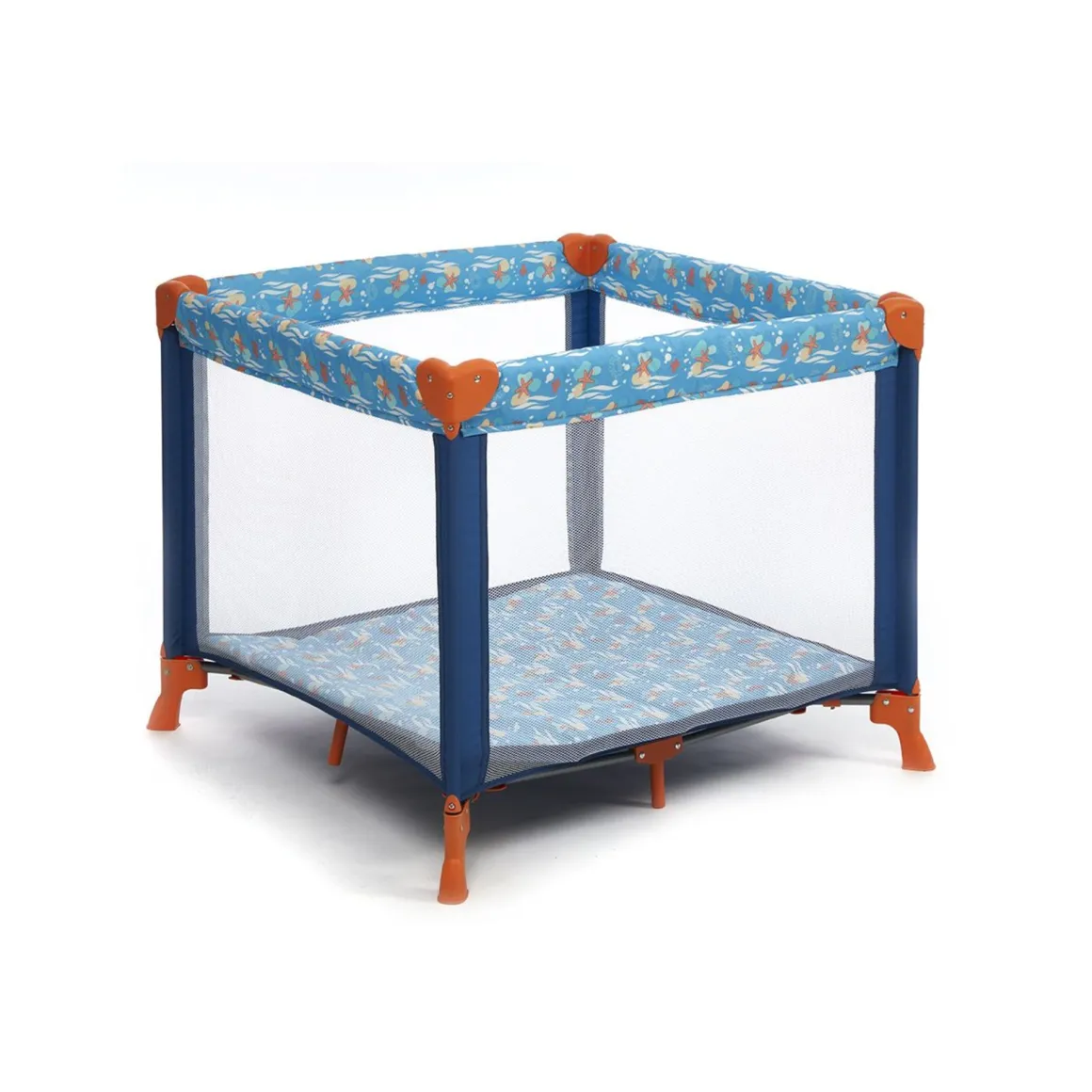 Box quadrato oceano stelle marine