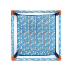 Box quadrato oceano stelle marine