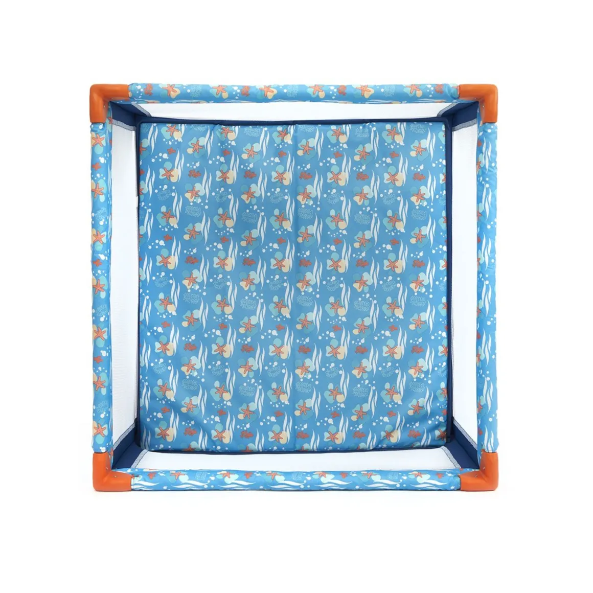 Box quadrato oceano stelle marine