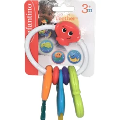 Dentaruolo – animali marini – infantino