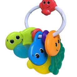 Dentaruolo – animali marini – infantino