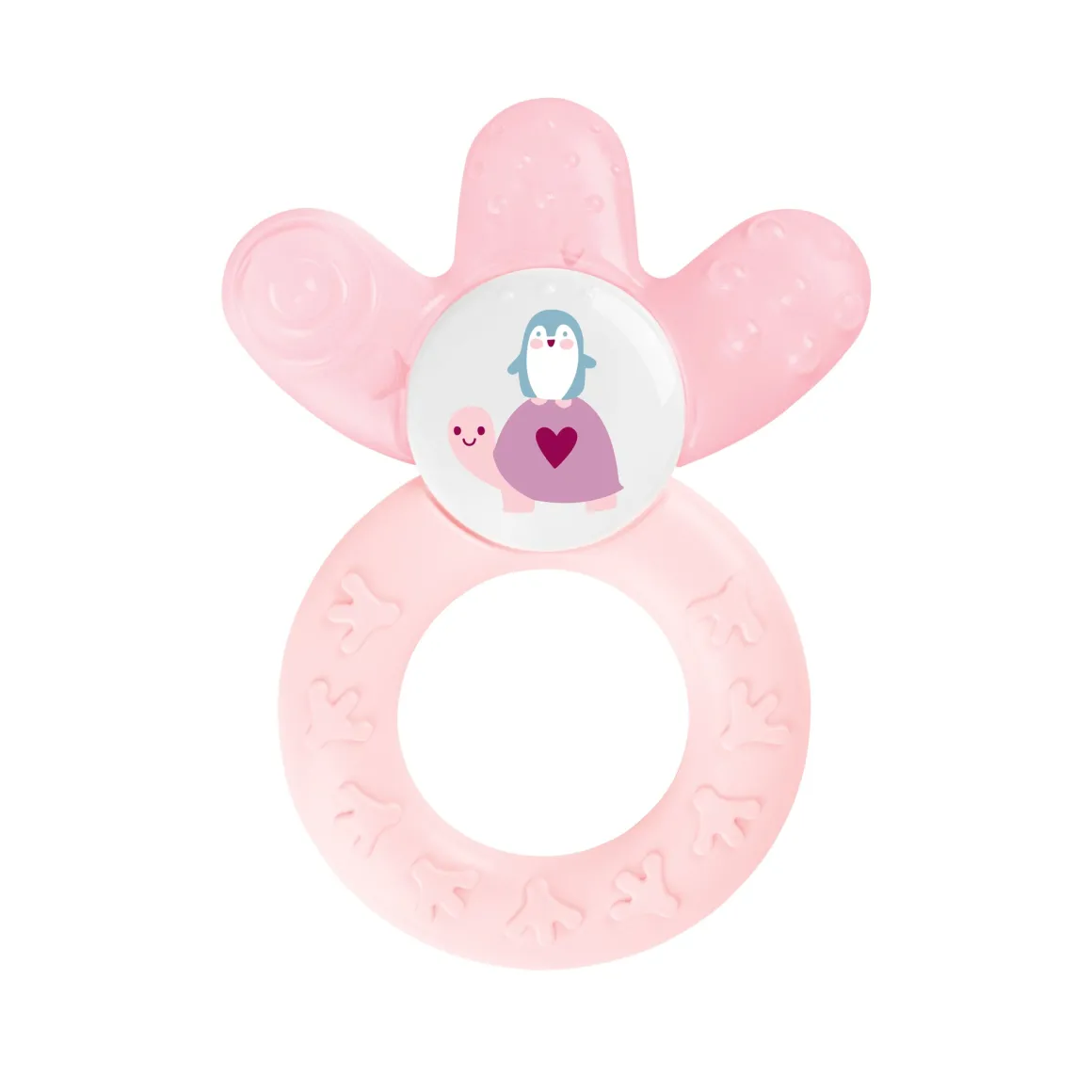 Dentaruolo cooler, femmina