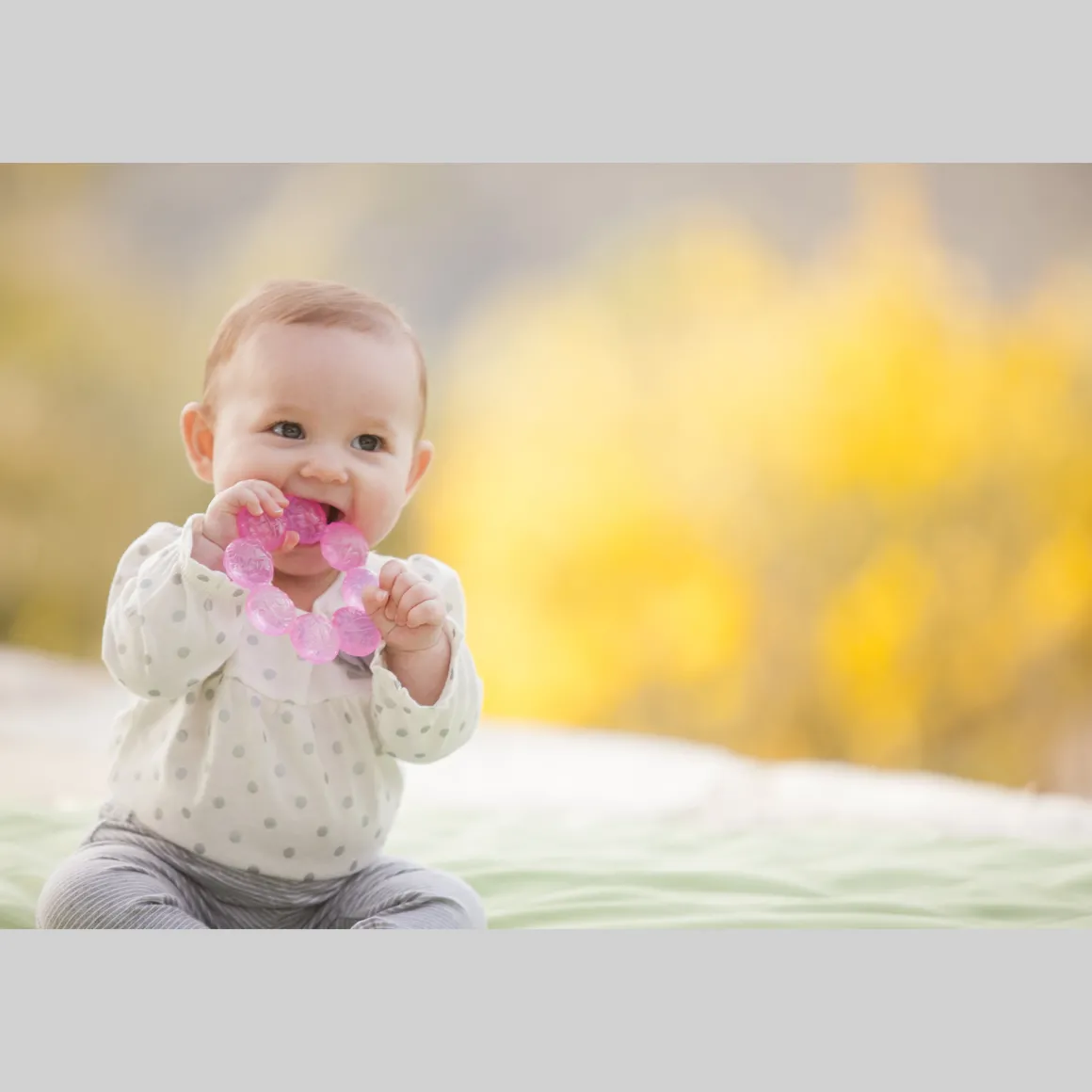 Dentaruolo rosa – infantino