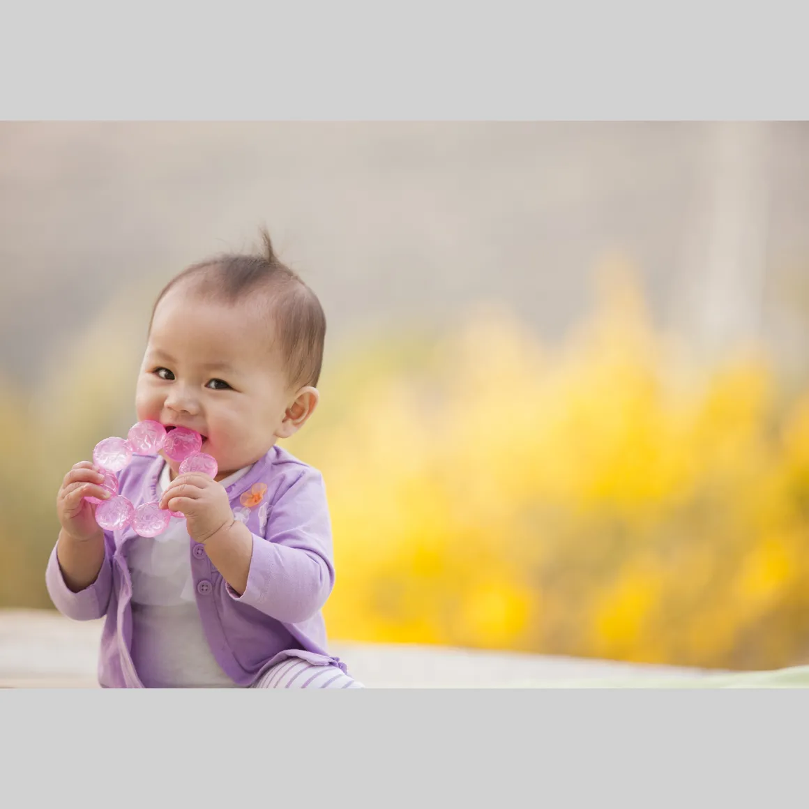 Dentaruolo rosa – infantino