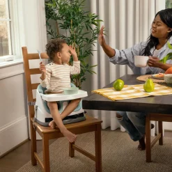 Ingenuity baby base 2-in-1™ rialzo da sedia colore mist