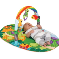 Palestrina – activity gym – gioco e crescita