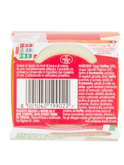 Plasmon – sapori di natura yogurt – biscotto – 2x120g