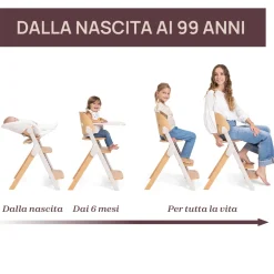 Sedia evolutiva meraviglia fossil – chicco