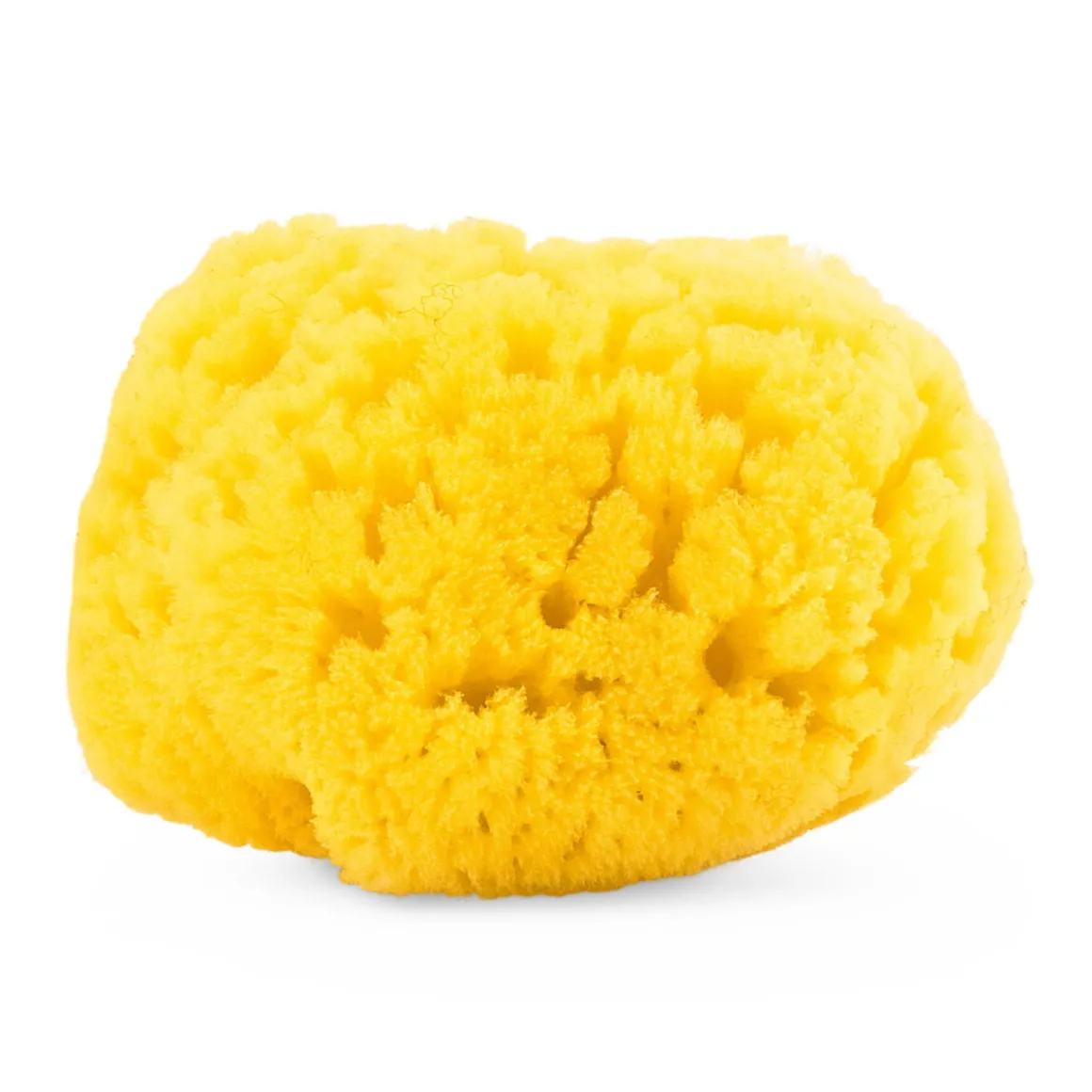 Spugna marina naturale – chicco