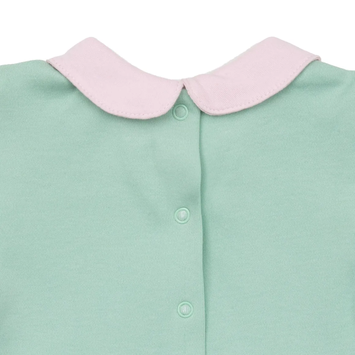 Tutina neonata bicolor